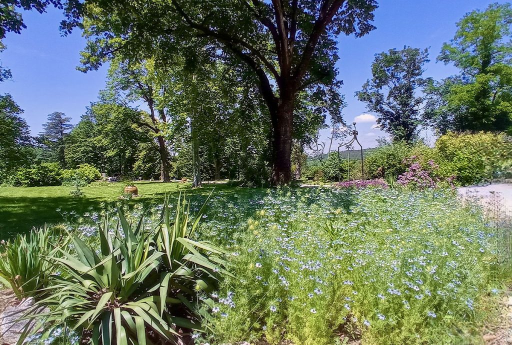 Fotos gallery klein 11