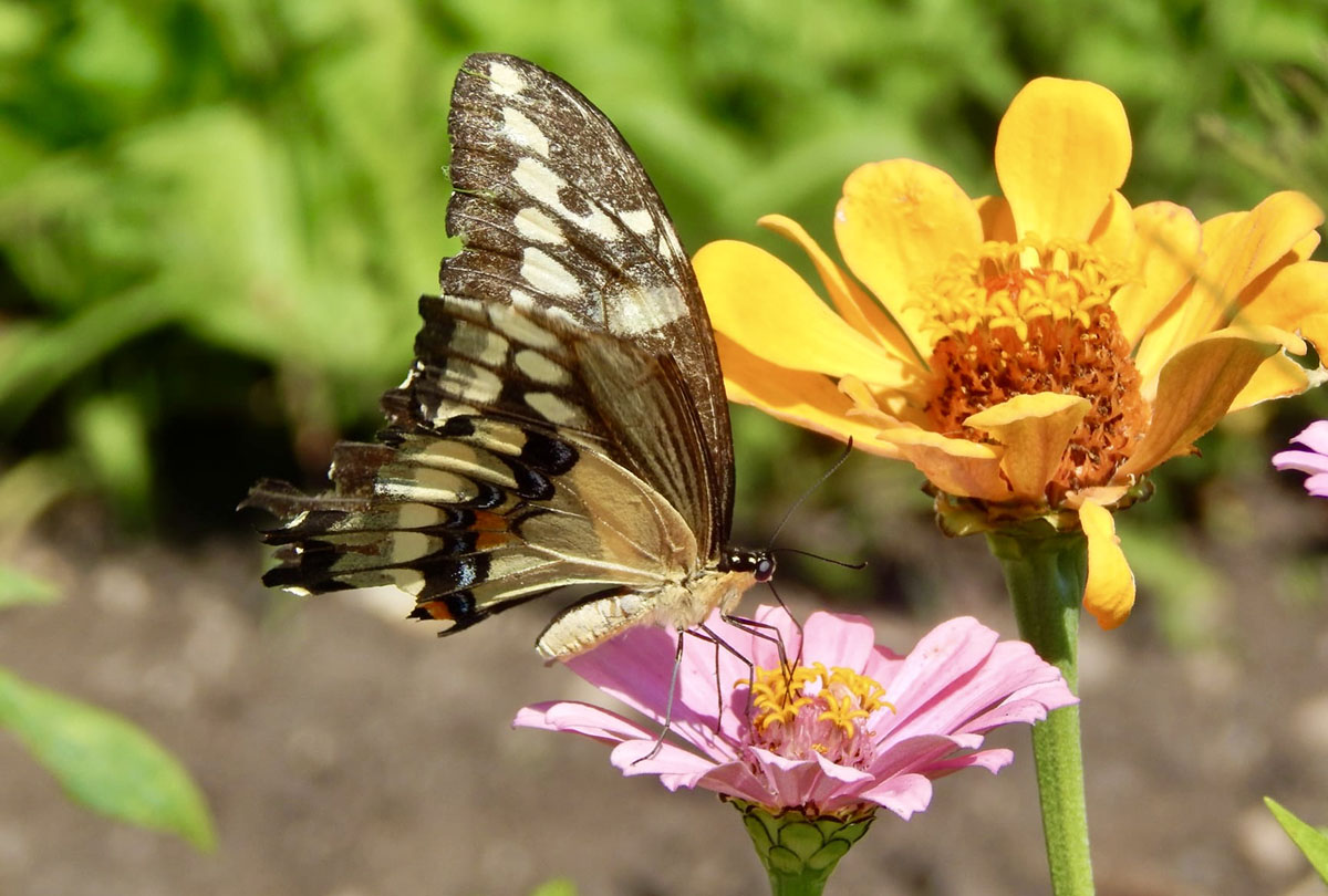 Fotos gallery klein 13